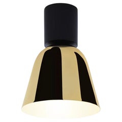 Jaime Hayon Lighto C Pe Black Matte-Golden Glossy Celling Lamp For Parachilna