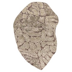 Jaipur Teppiche 6x9 Füße Hand getuftet Teppich Wolle & Viskose Moderne Beige & Braun Teppich