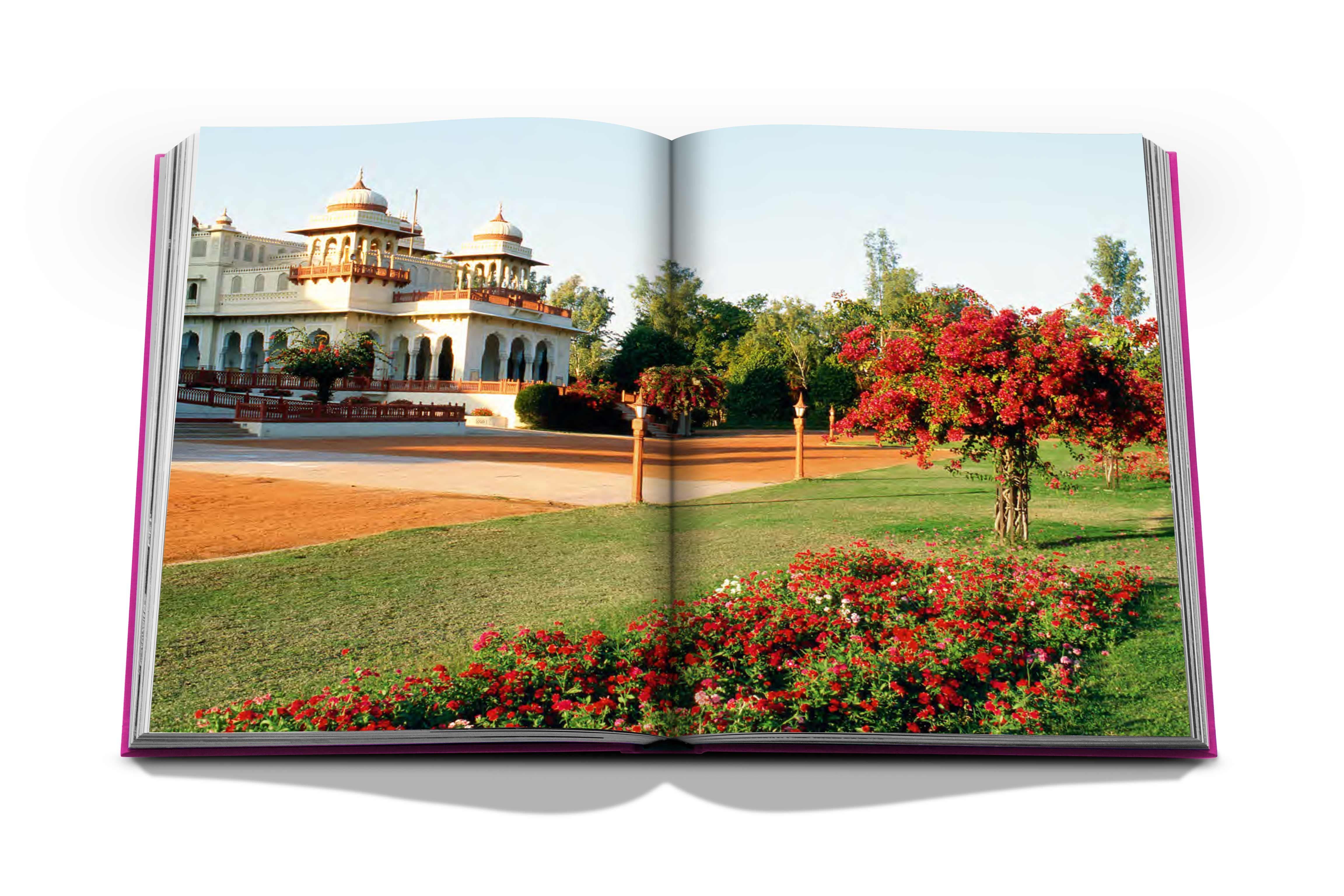 Jaipur Splendor For Sale 4