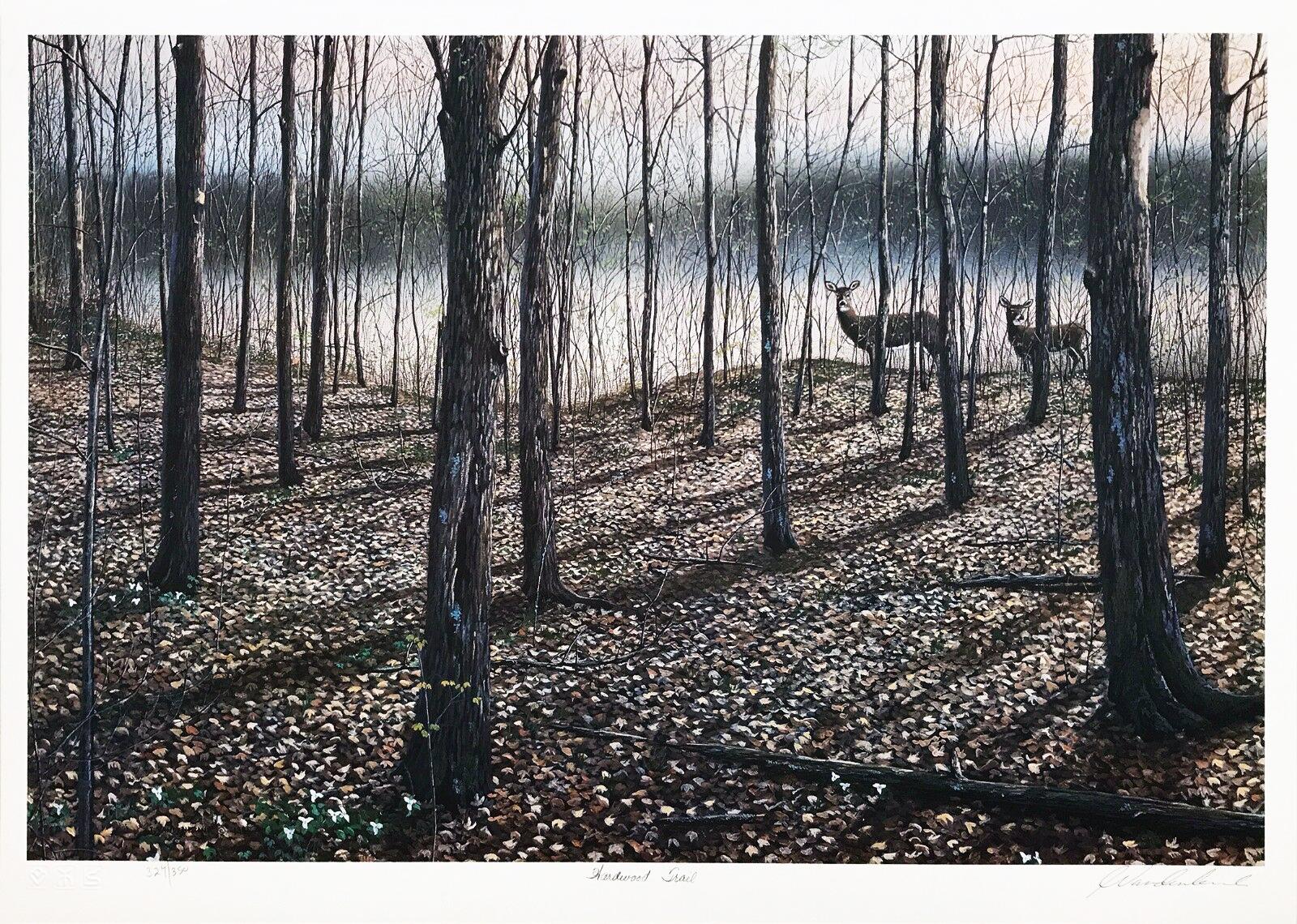 Jake Vandenbrink Landscape Print - HARDWOOD TRAIL