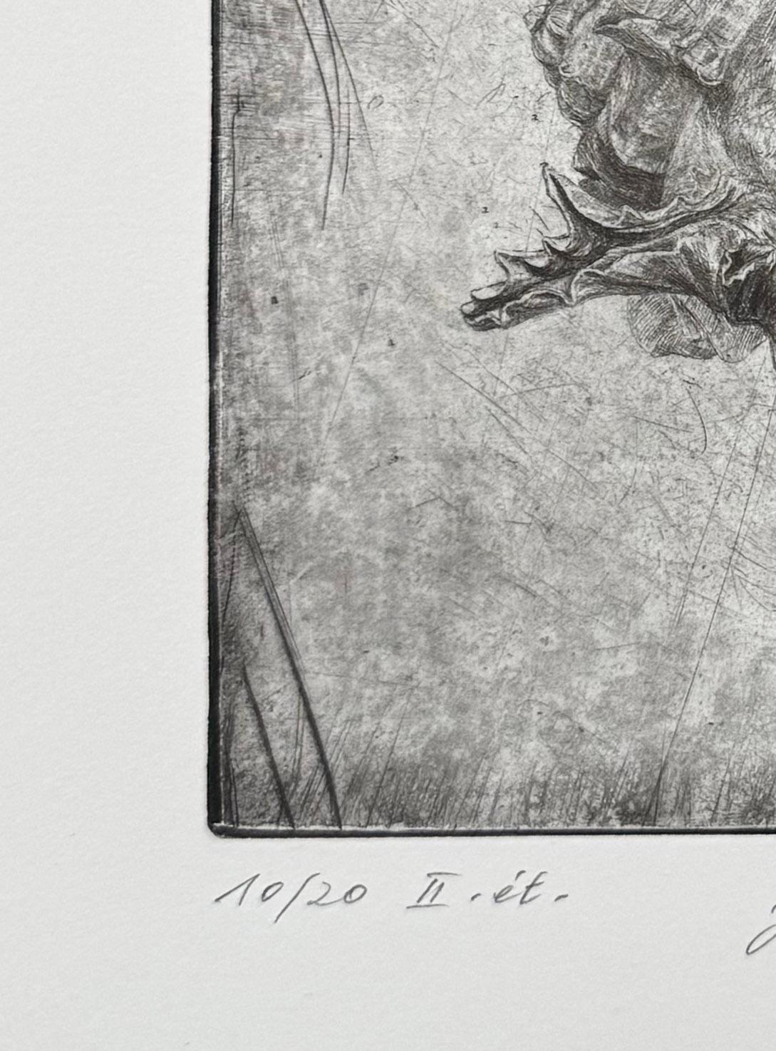 Murex I, by Jakob Demus For Sale 2