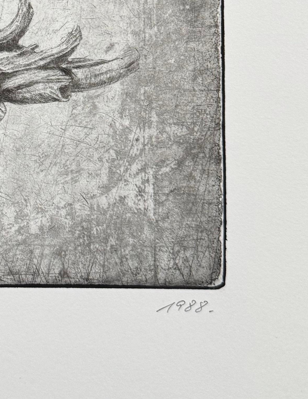 Murex I, by Jakob Demus For Sale 4