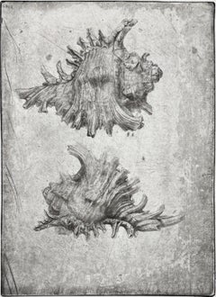 Murex I, por Jakob Demus