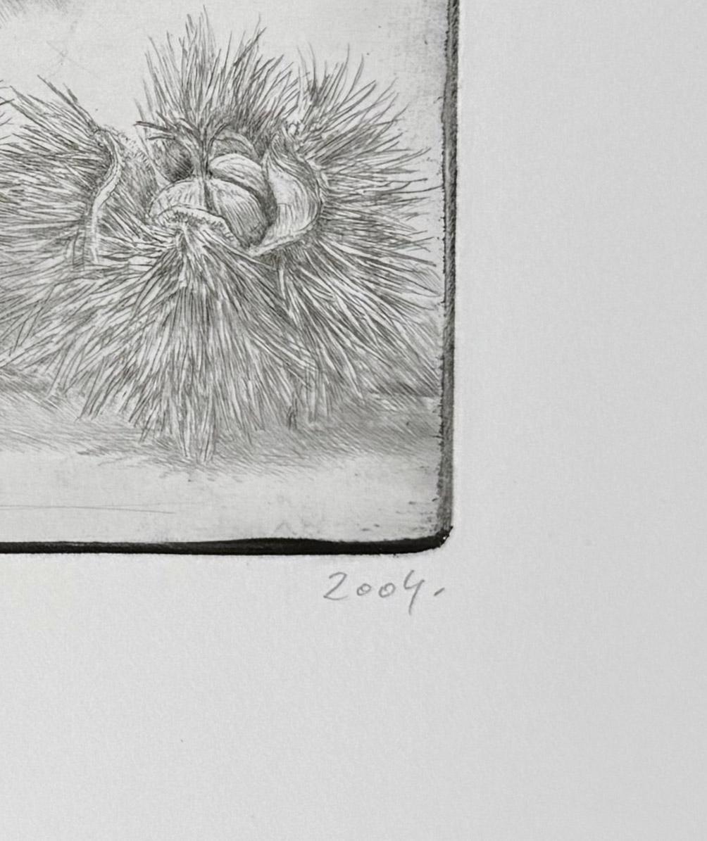 Three Marrons, Diamond drypoint by  Jakob Demus.

In the 1986-1988 period Demus immersed himself in the depiction of flowers, and it was then that the most important works in this genre were created. The plants are shown against an unworked, white