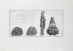 Op.304 Cassiterite, Realgar Malachit, von Jakob Demus