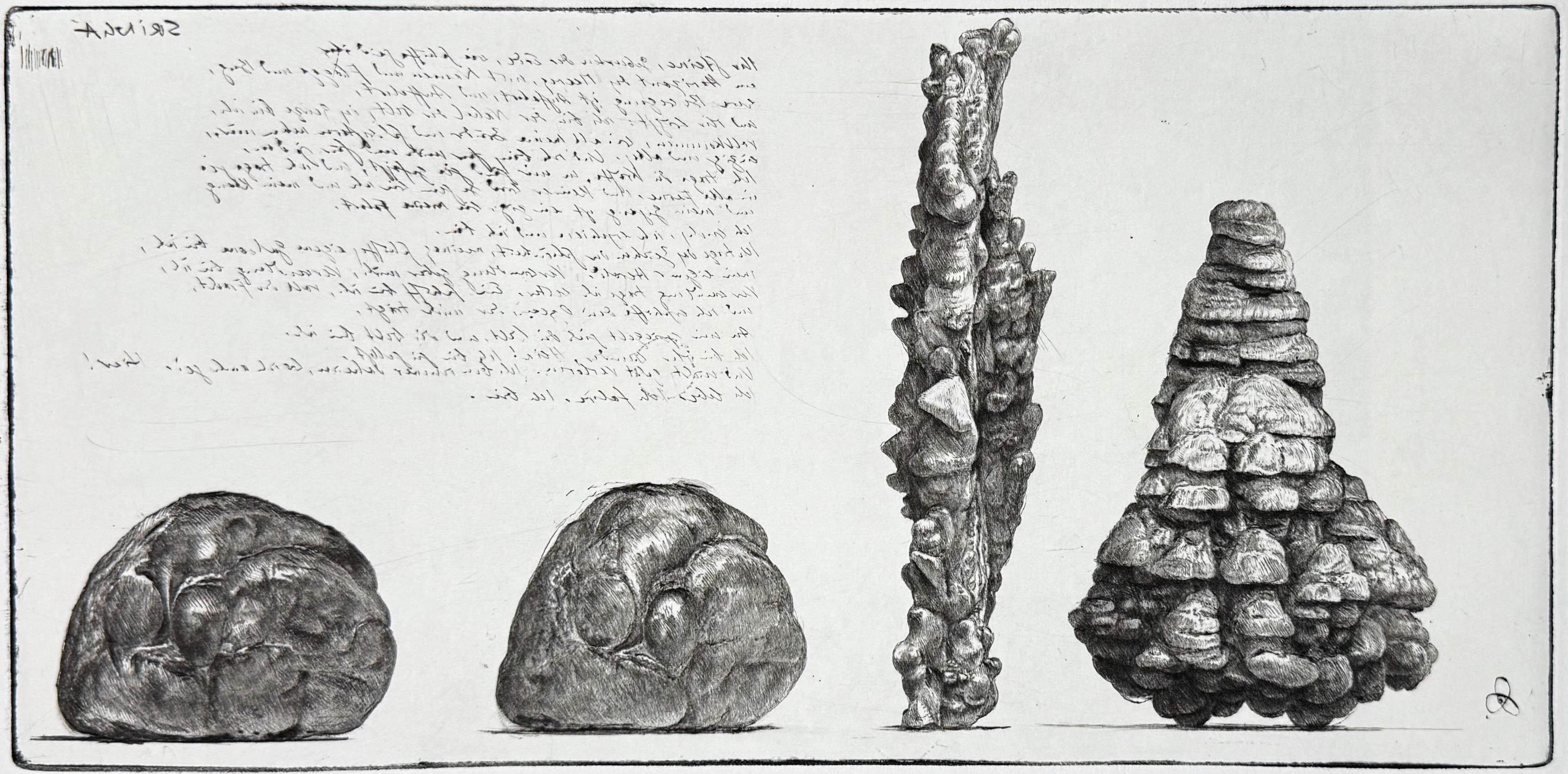 Op.304 Cassiterite, Realgar Malachite, Diamond drypoint by Jakob Demus.  This is a unique print before the edition. The stones were some of many collected by Demus, from which he made "portraits" endowing them a history aamd personality all their