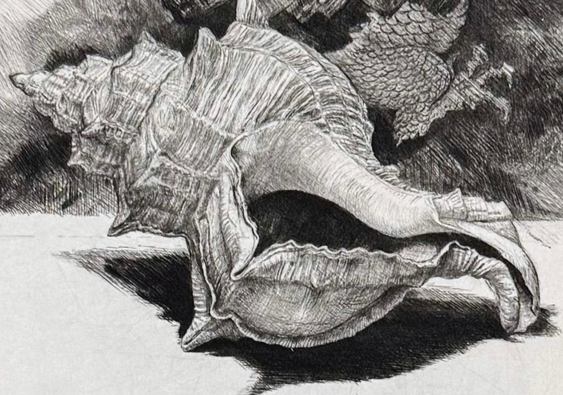 Purpura y Dragón, por Jakob Demus en venta 1