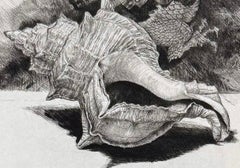 Purpura et dragon, de Jakob Demus