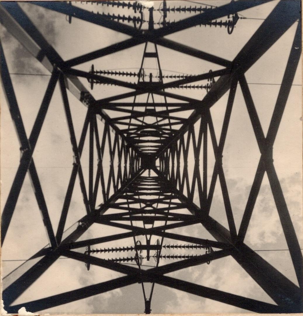 Albero Starkstrom 1933 - Photograph Moderno di Jakob Volk