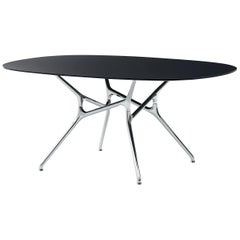 Jakob Wagner Oval Branch Table in Anthracite Top for Cappellini