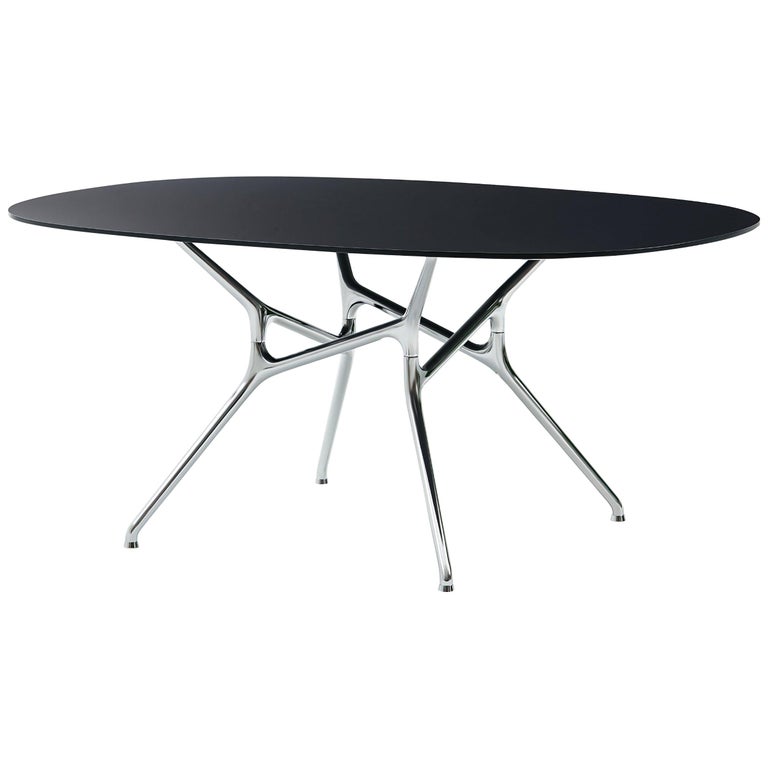 Jakob Wagner Oval Branch Table in Anthracite Top for Cappellini For Sale