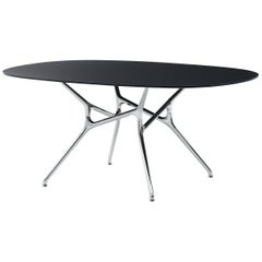 Jakob Wagner Oval Branch Table in Wood and Die-Cast Aluminum Base for Cappellini