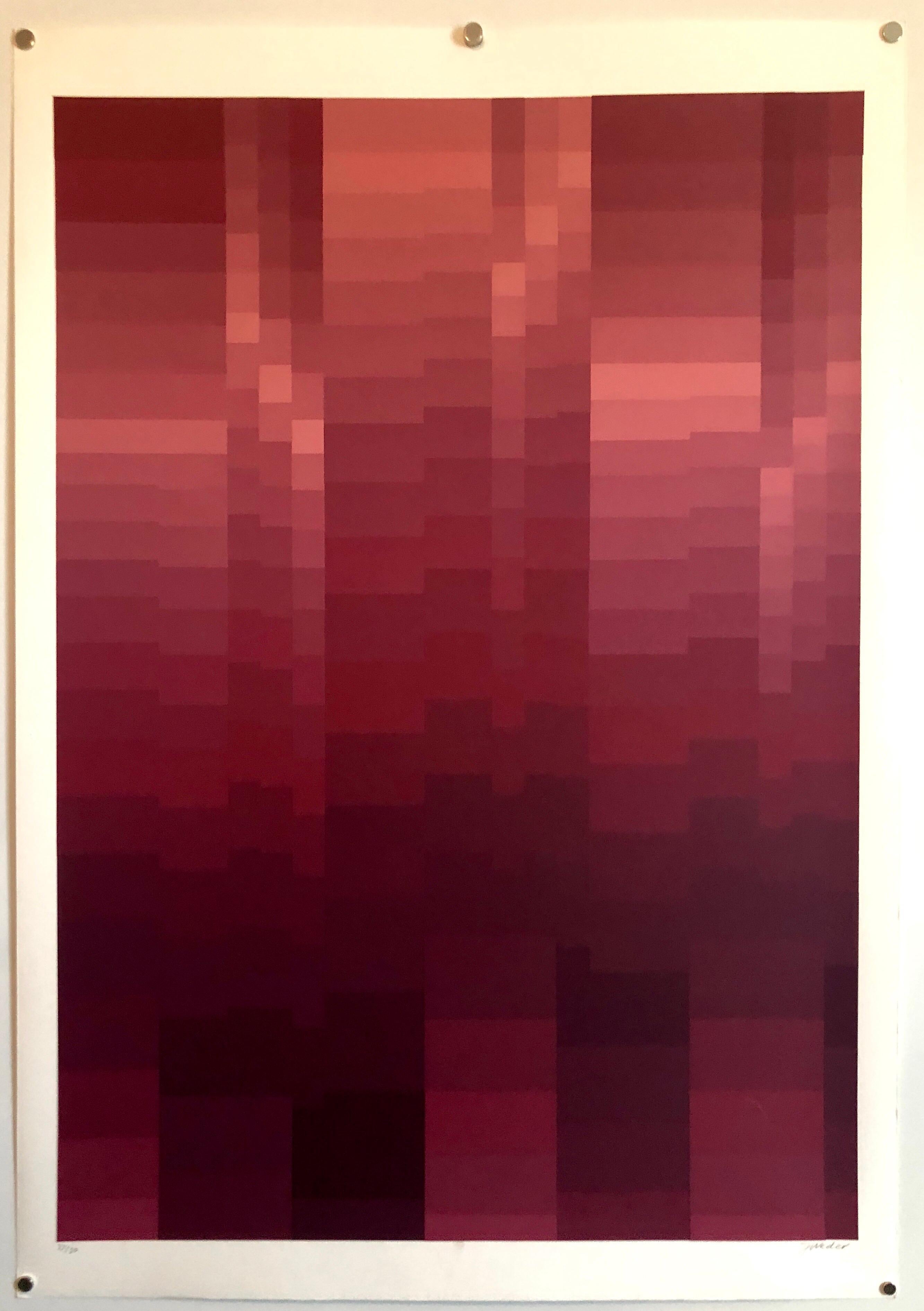 Artista svizzero Grande Sinfonia a colori Serigrafia Stampa Cinetica Op Art in vendita 3