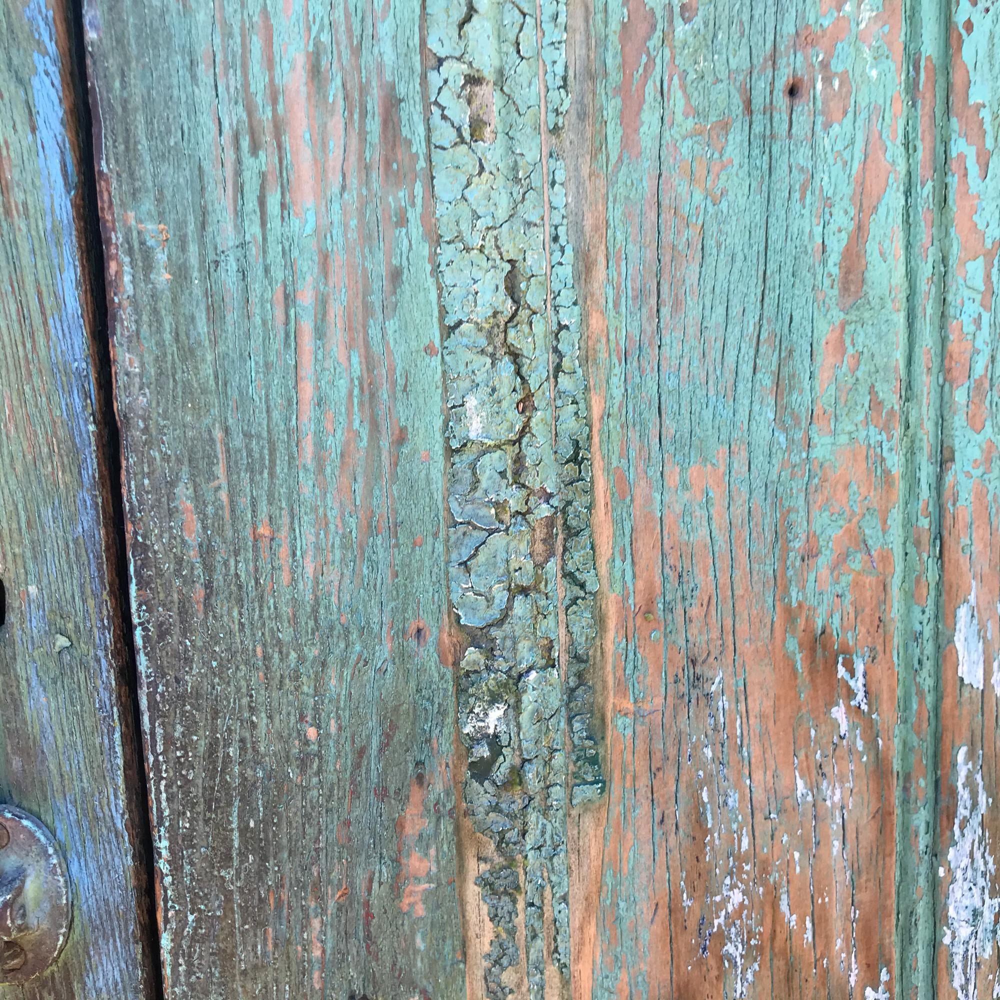 Mexican 1920s Hacienda Rustic Barn Doors Mesquite Wood Jalisco Mexico  For Sale