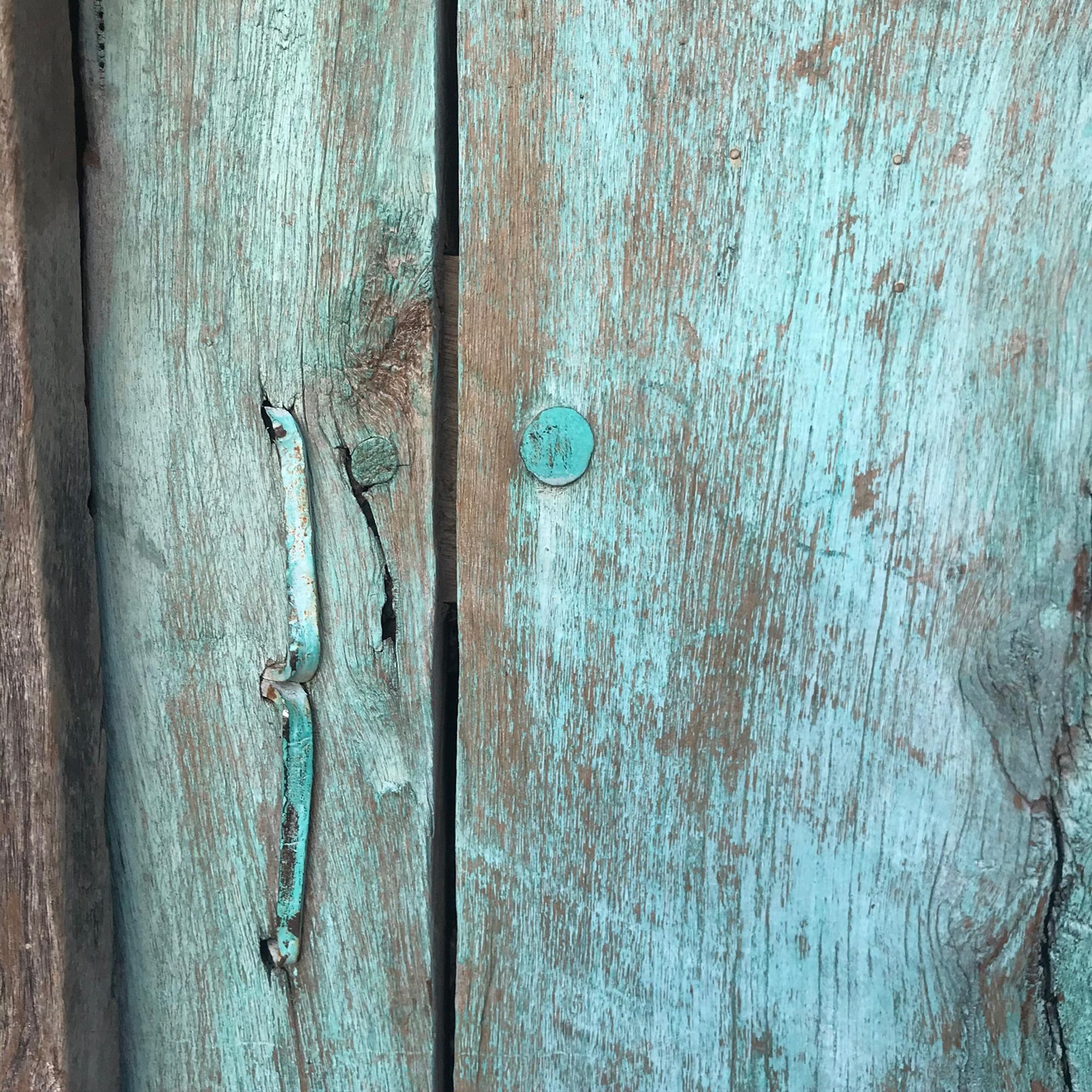 Arts and Crafts 1920s Jalisco Hacienda Old Rustic Door Solid Mesquite Wood Mexico