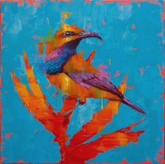 Used Olive backed sunbird No.2 - Oil painting by  English Artist Jamel Akib