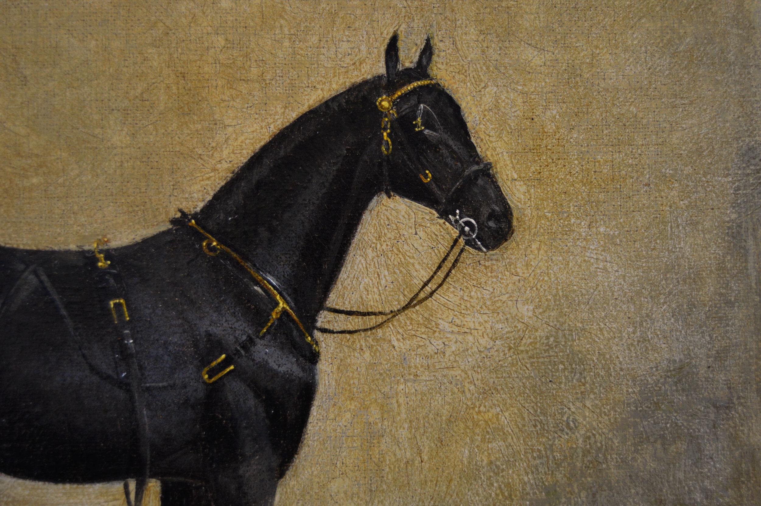 19th Century sporting horse portrait oil painting of a hackney mare  - Victorian Painting by James Albert Clark