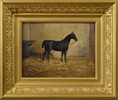 Antique 19th Century sporting horse portrait oil painting of a hackney mare 