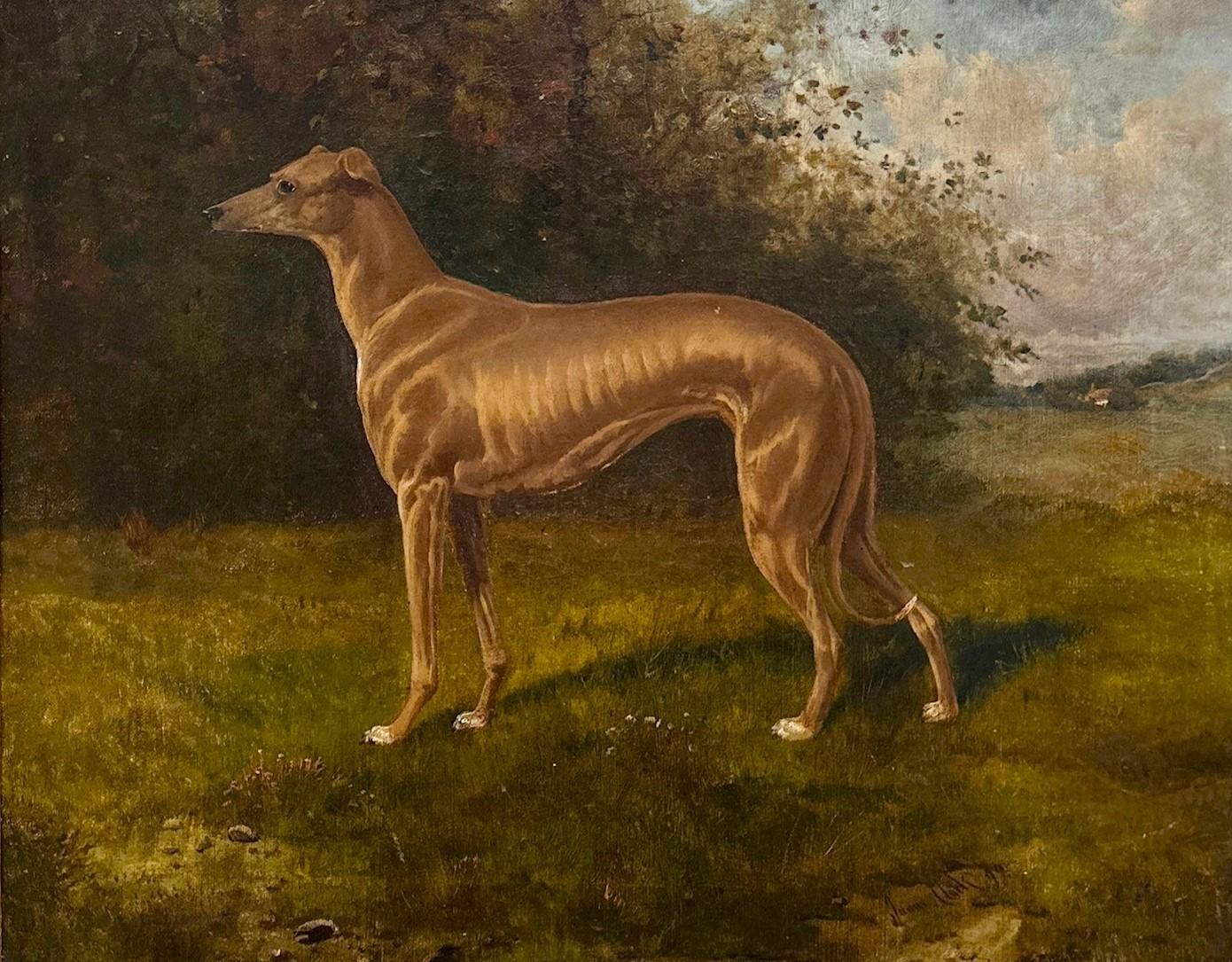 A 19th century portrait of a greyhound dog in a verdant landscape, signed - Painting by James Albert Clark