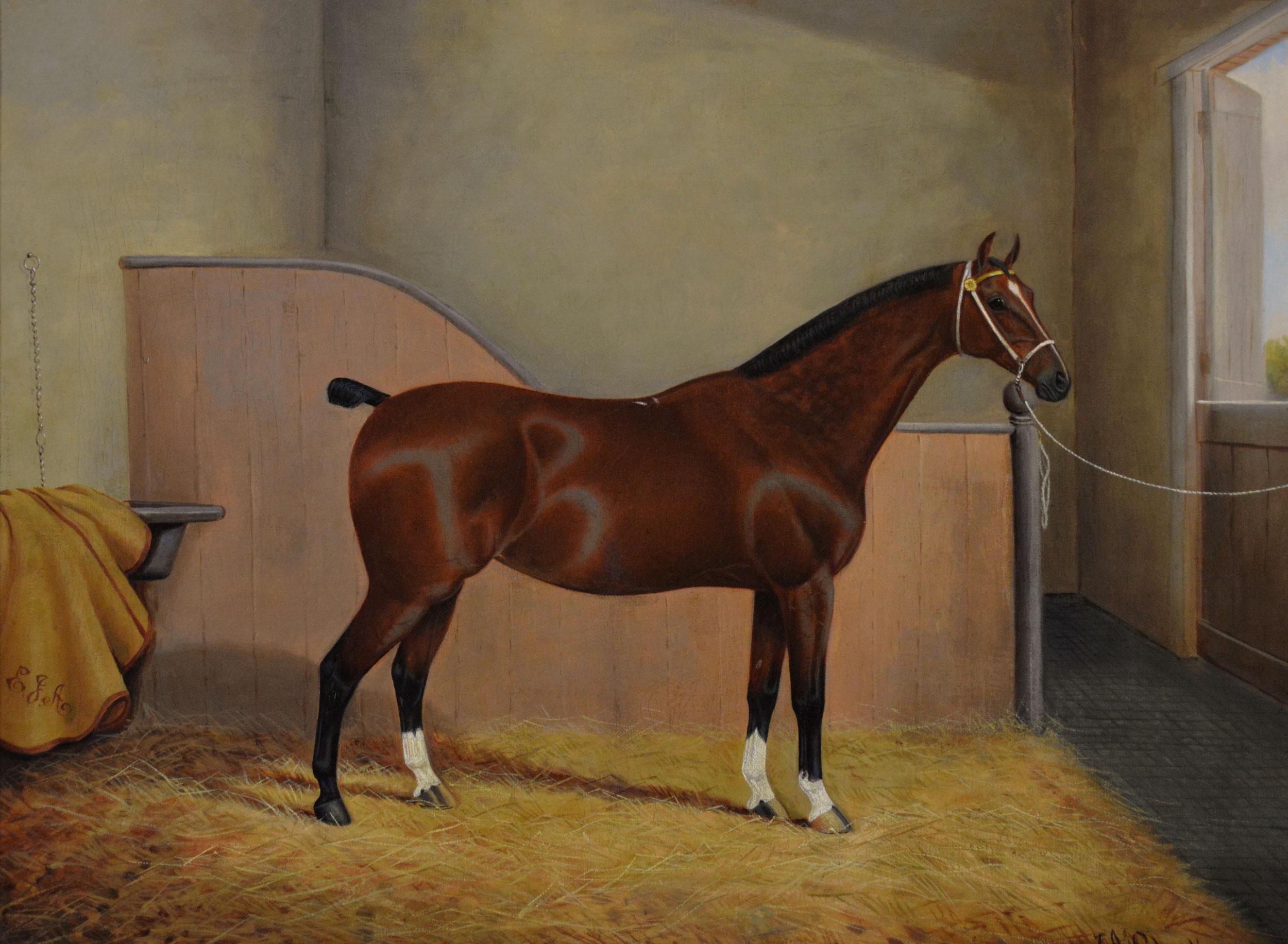 Sporting horse portrait oil painting of a bay horse in a stable - Painting by James Albert Clark