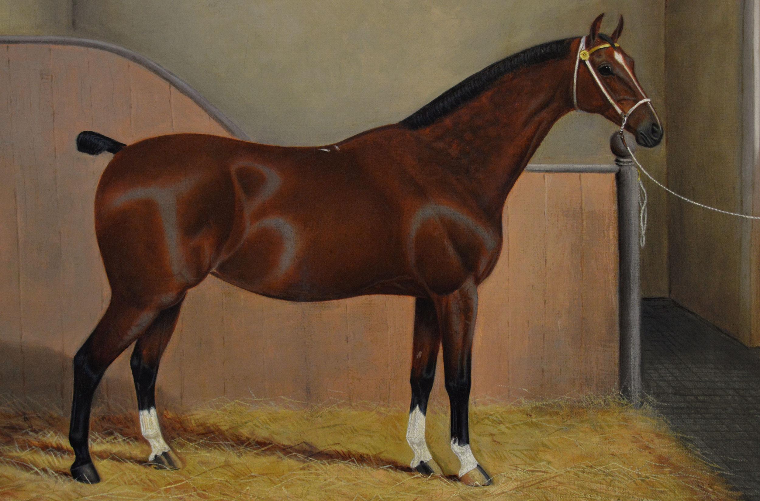 Sporting horse portrait oil painting of a bay horse in a stable - Victorian Painting by James Albert Clark