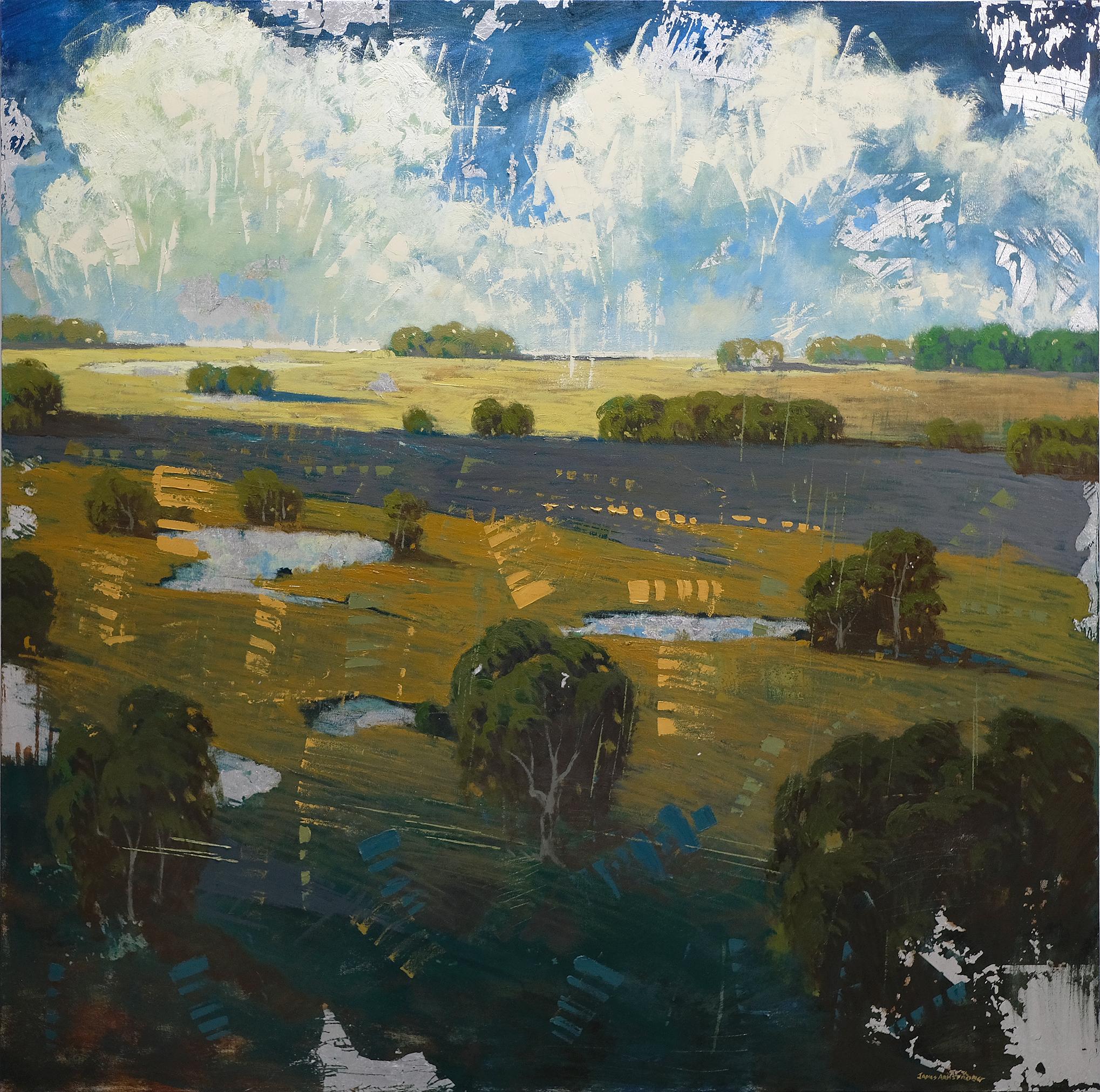 Distant Field Ponds - Mixed Media Art by James Armstrong