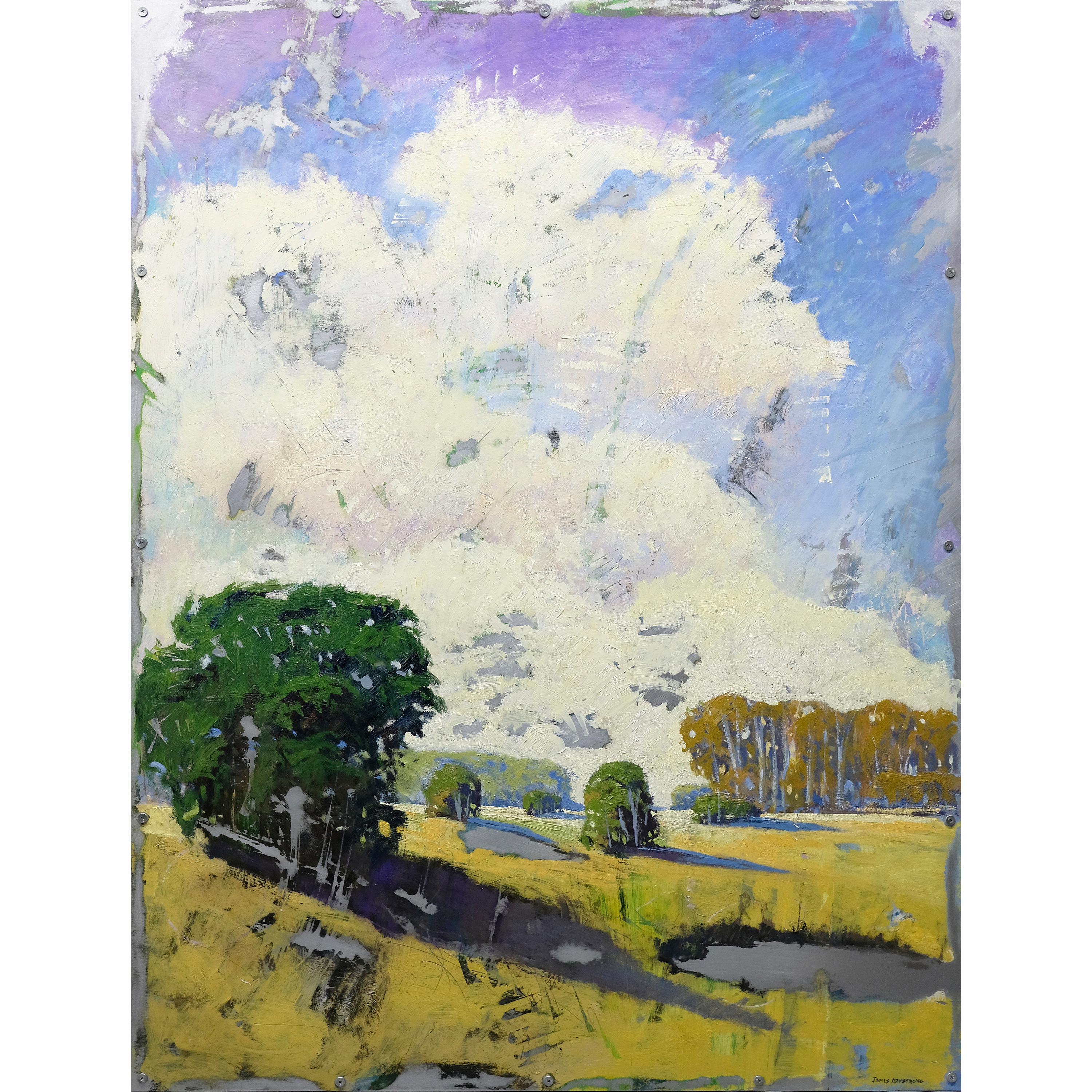 James Armstrong Landscape Painting - Field Ponds II