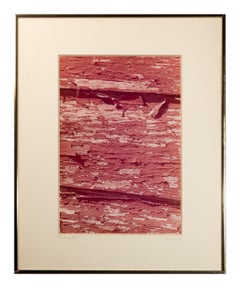 "Flaking Red, " Photograph signed by James Auer