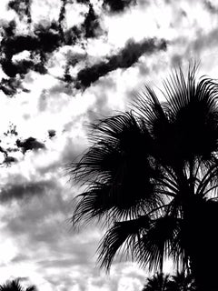 #inthesky Series" Palm Springs #10