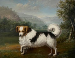 "A Phallene Papillon in a Highland Landscape" Early 19th Century Dog Portrait