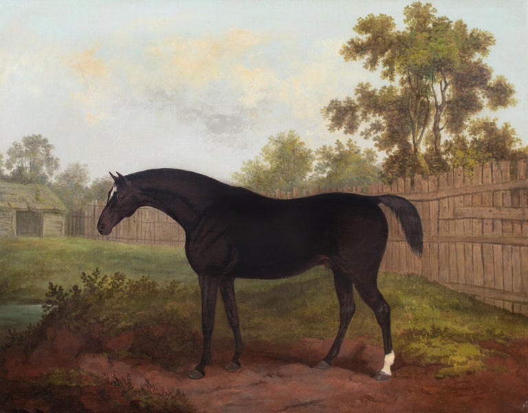 James Barenger Portrait Of "Tramp", A Dark Bay In A Paddock, Burton, East Riding Of