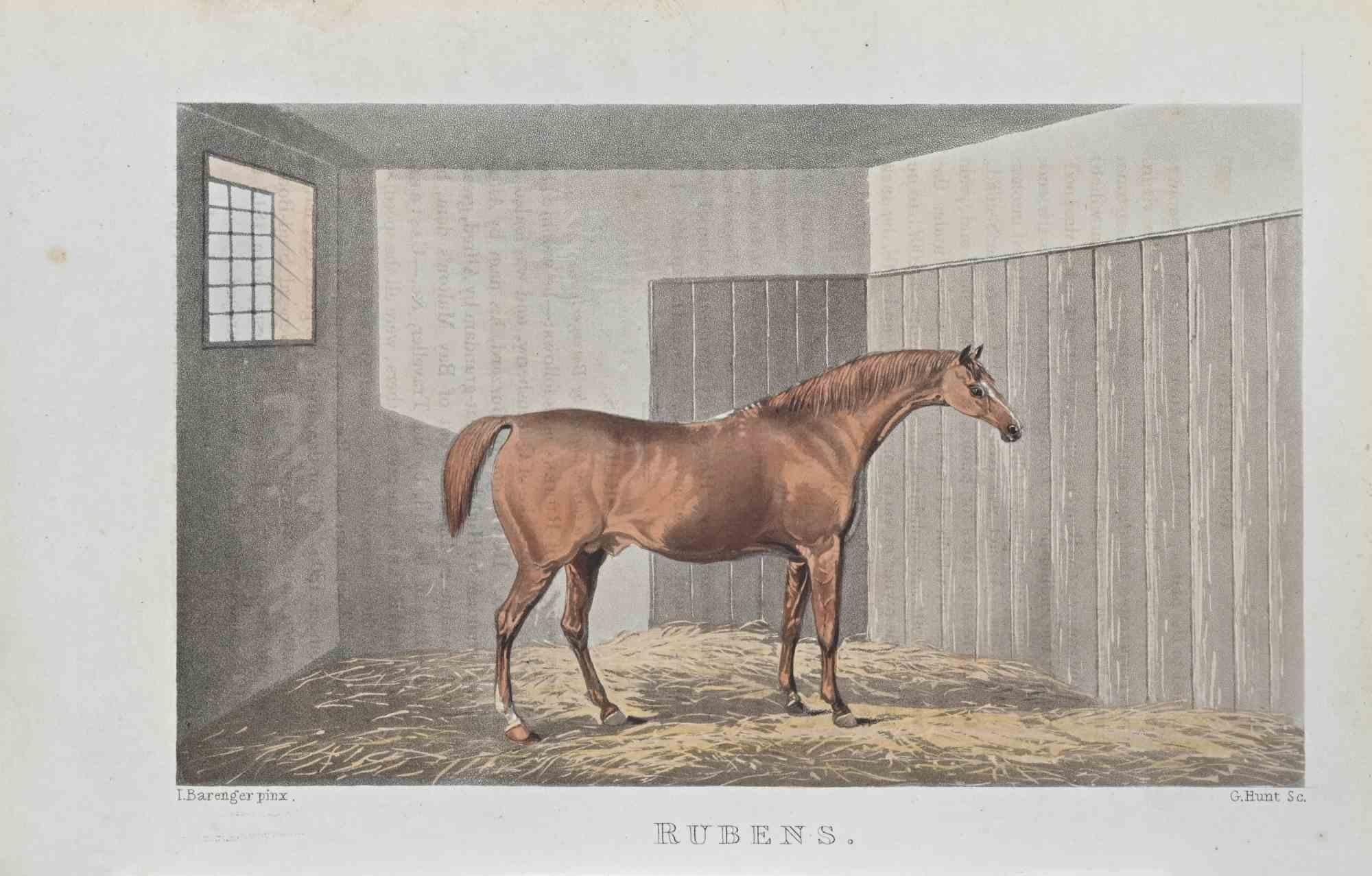 Rubens - Etching by James Barenger - 1822