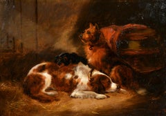 Dogs at Rest in a Stable