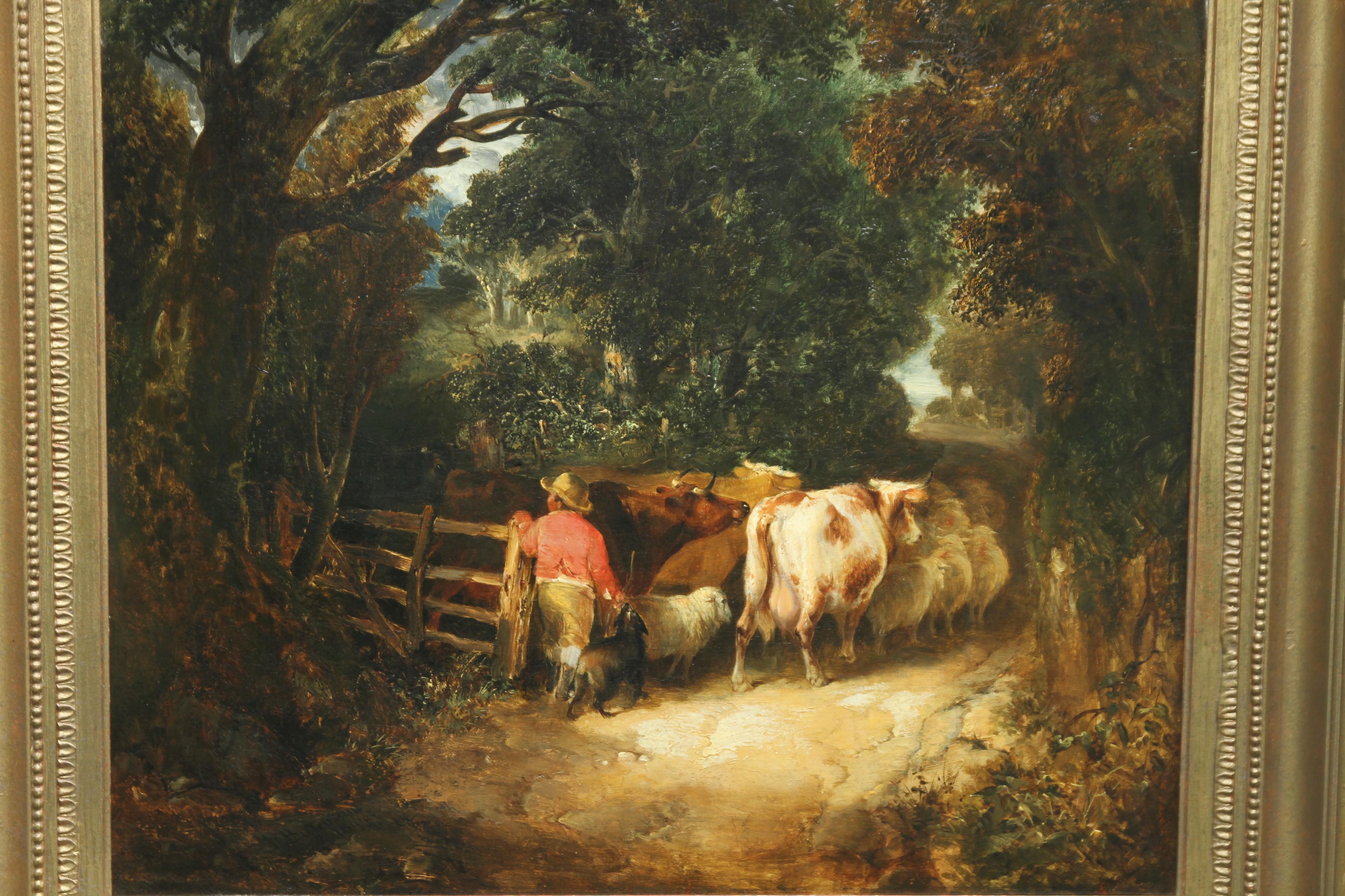 country lane cattle company