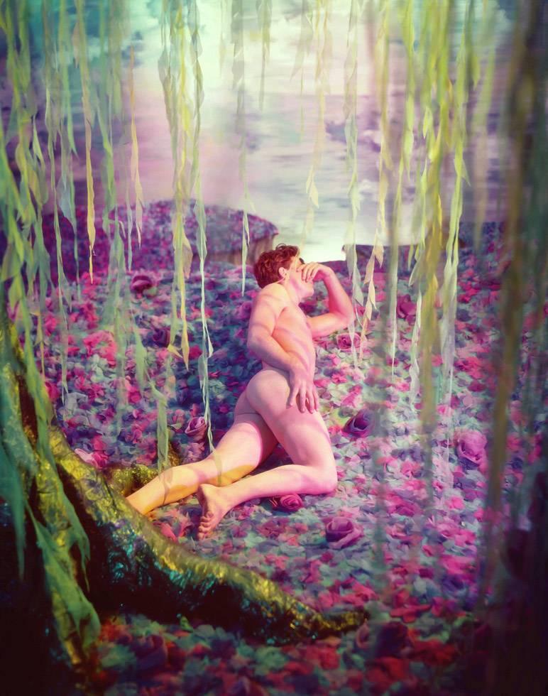 James Bidgood Nude Photograph - Willow Tree