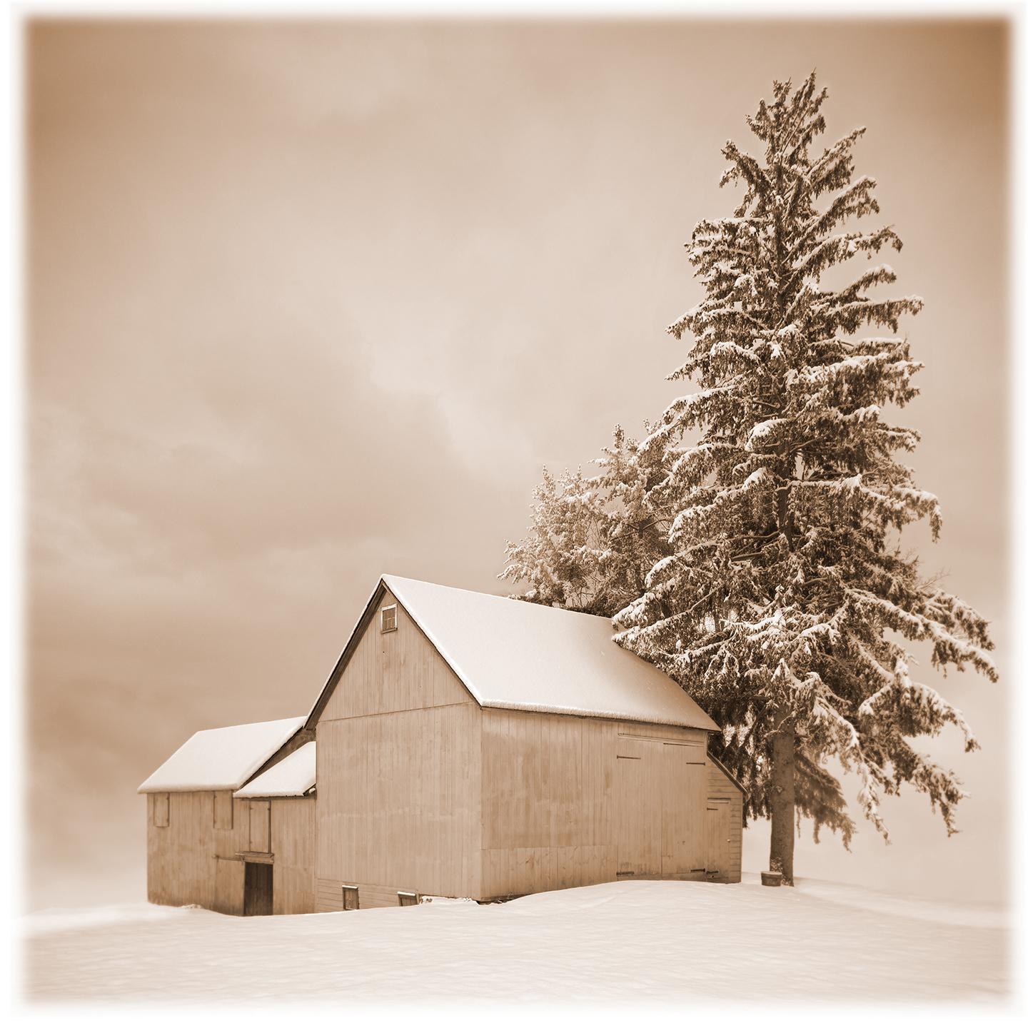 James Bleecker Landscape Photograph – Barn, New Concord (Ein ruhige Winterszene von Barn und Evergreen in Sepia)