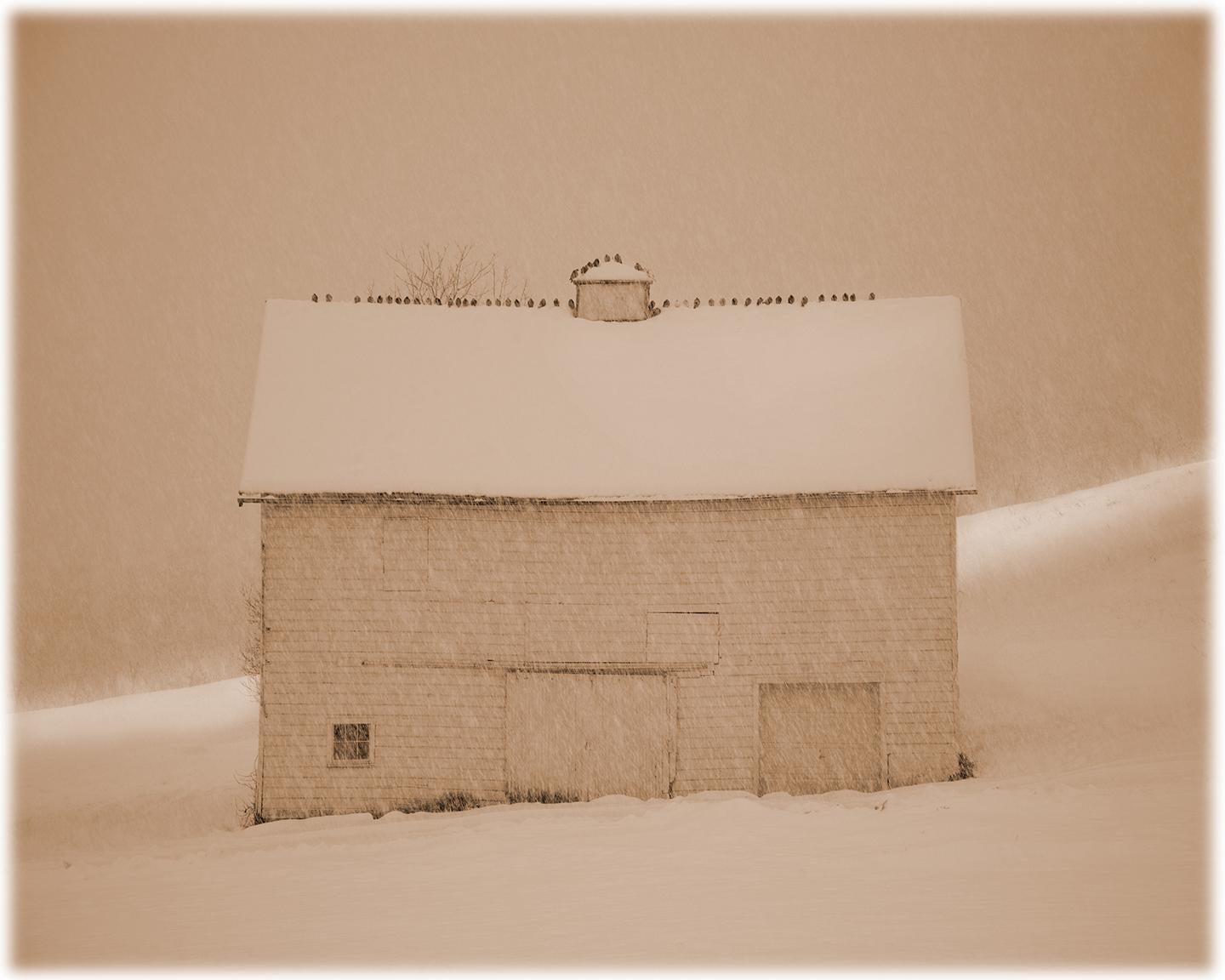 James Bleecker Landscape Photograph - Barn with Birds ( Black and White Sepia Toned Pigment Print of a Winter Scene)