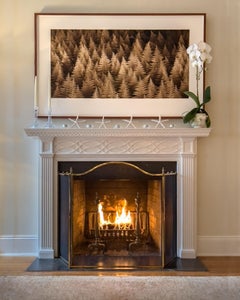 Ferns No. 2 (Sepia-Tone Botanical Still-Life Photograph on Watercolor Paper)