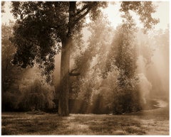 Baum und Teich, Ghent (Sepiafarbener Pigmentdruck einer sonnenbeschienenen Landschaft)