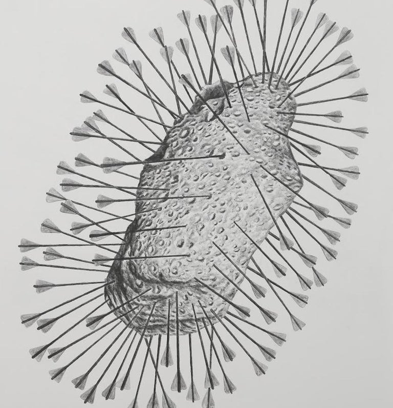 James Bonachea Guerra Blanco Perfecto. From the series Plato’s Heaven