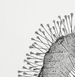 Blanco Perfecto. From the series Plato’s Heaven.  Charcoal on canvas Painting