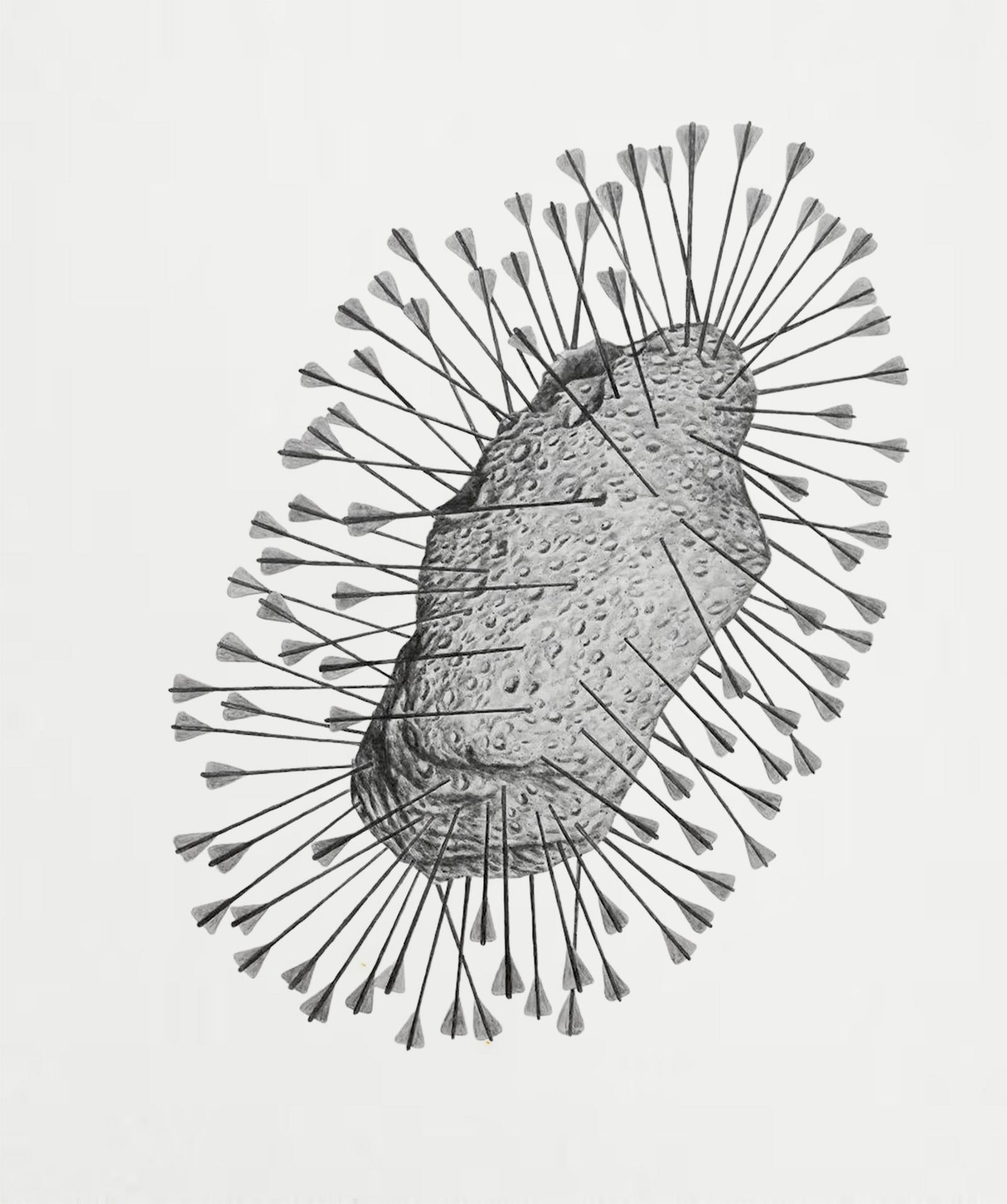 James Bonachea Guerra Abstract Drawing - Blanco Perfecto. From the series Plato’s Heaven.  Charcoal on canvas Painting