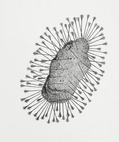 Blanco Perfecto. From the series Plato’s Heaven.  Charcoal on canvas Painting