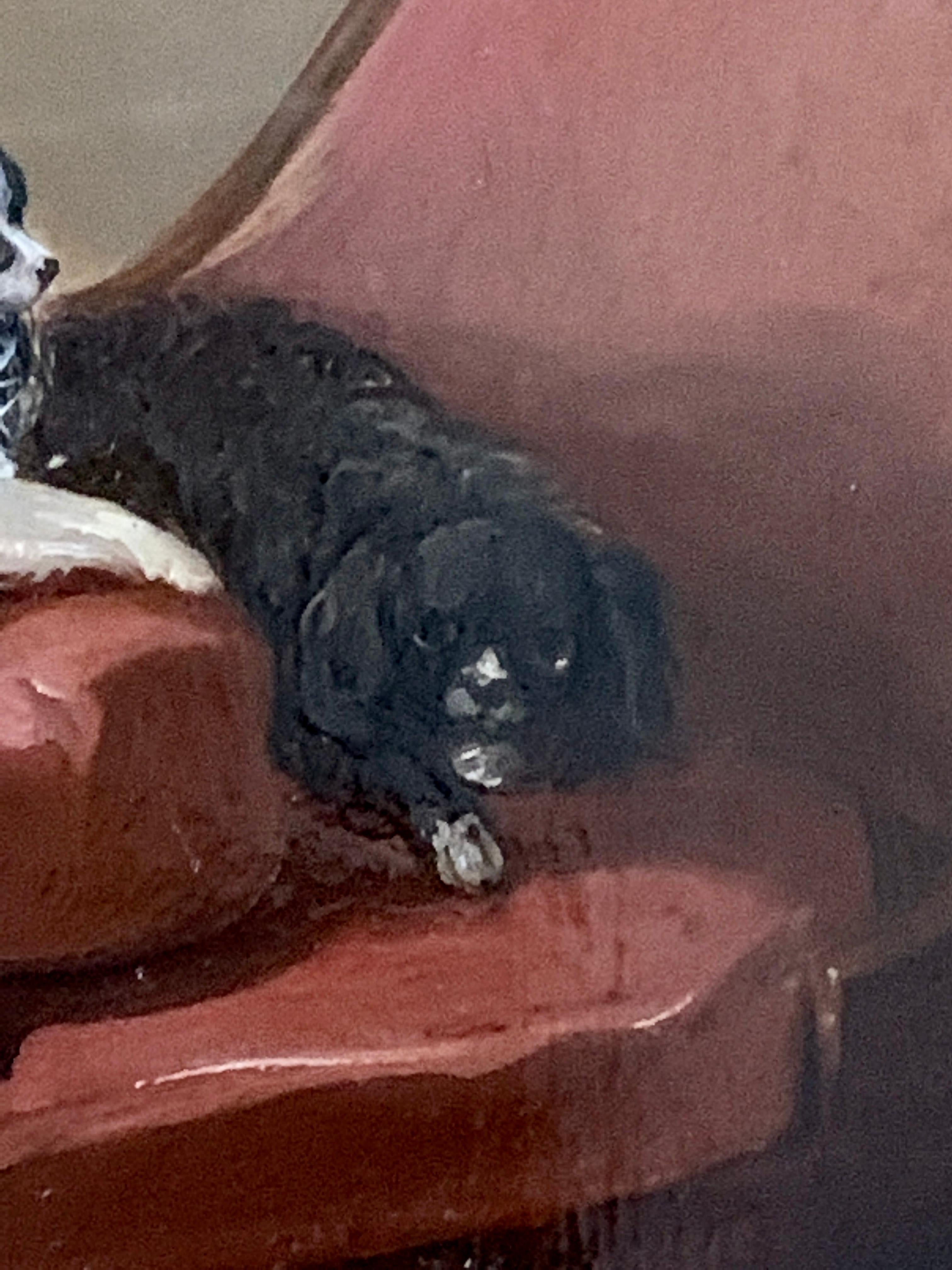 Portrait anglais du 19e siècle représentant deux chiens de race Charles Charles Cavalier Spaniels assis - Victorien Painting par James Cassie