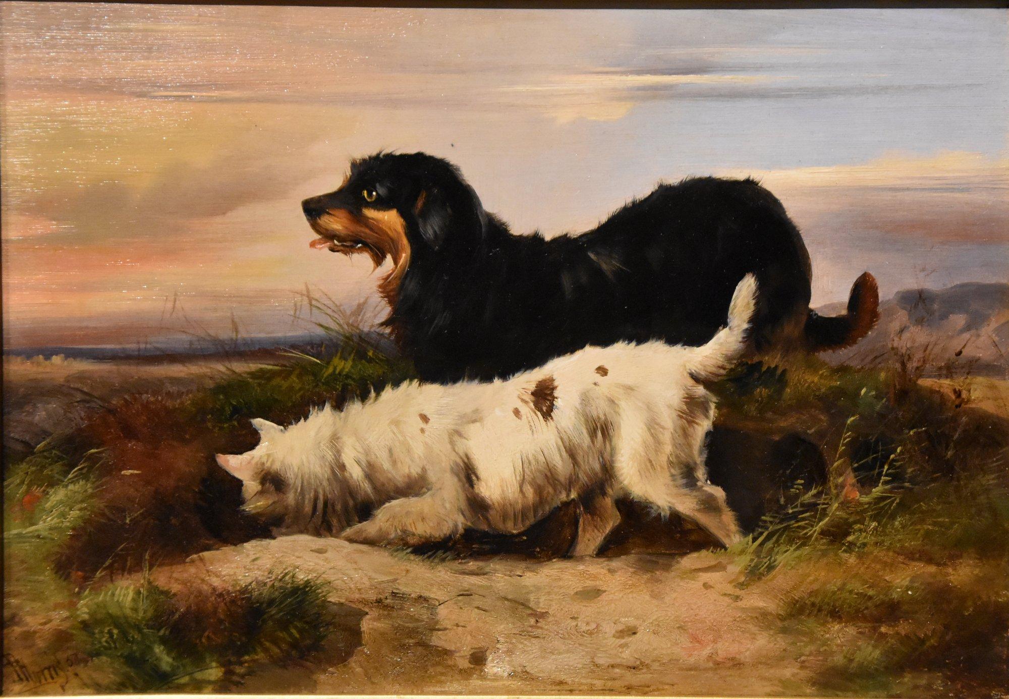 Coppia di dipinti a olio di James Charles Morris 