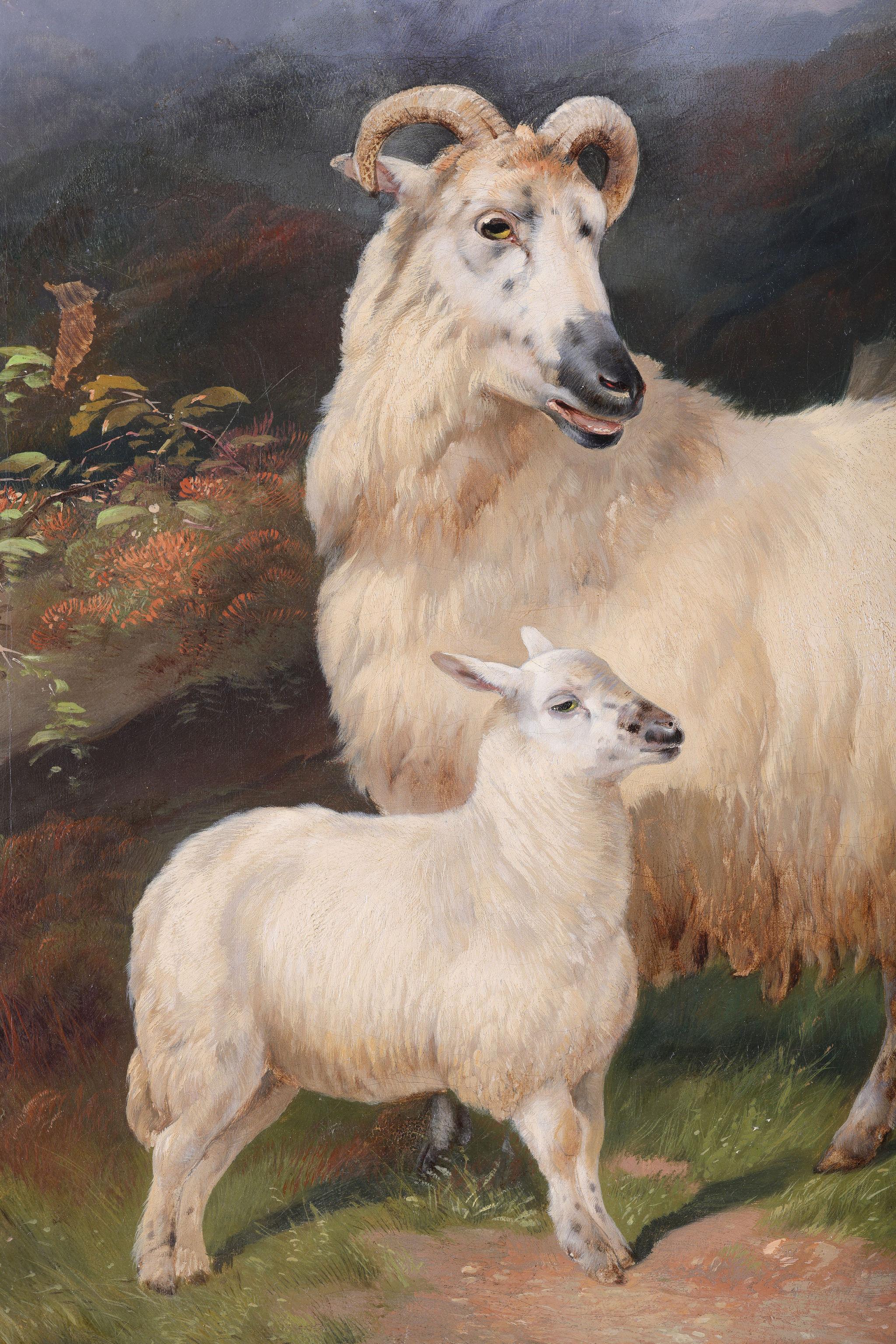 A Ram with its Lamb 1