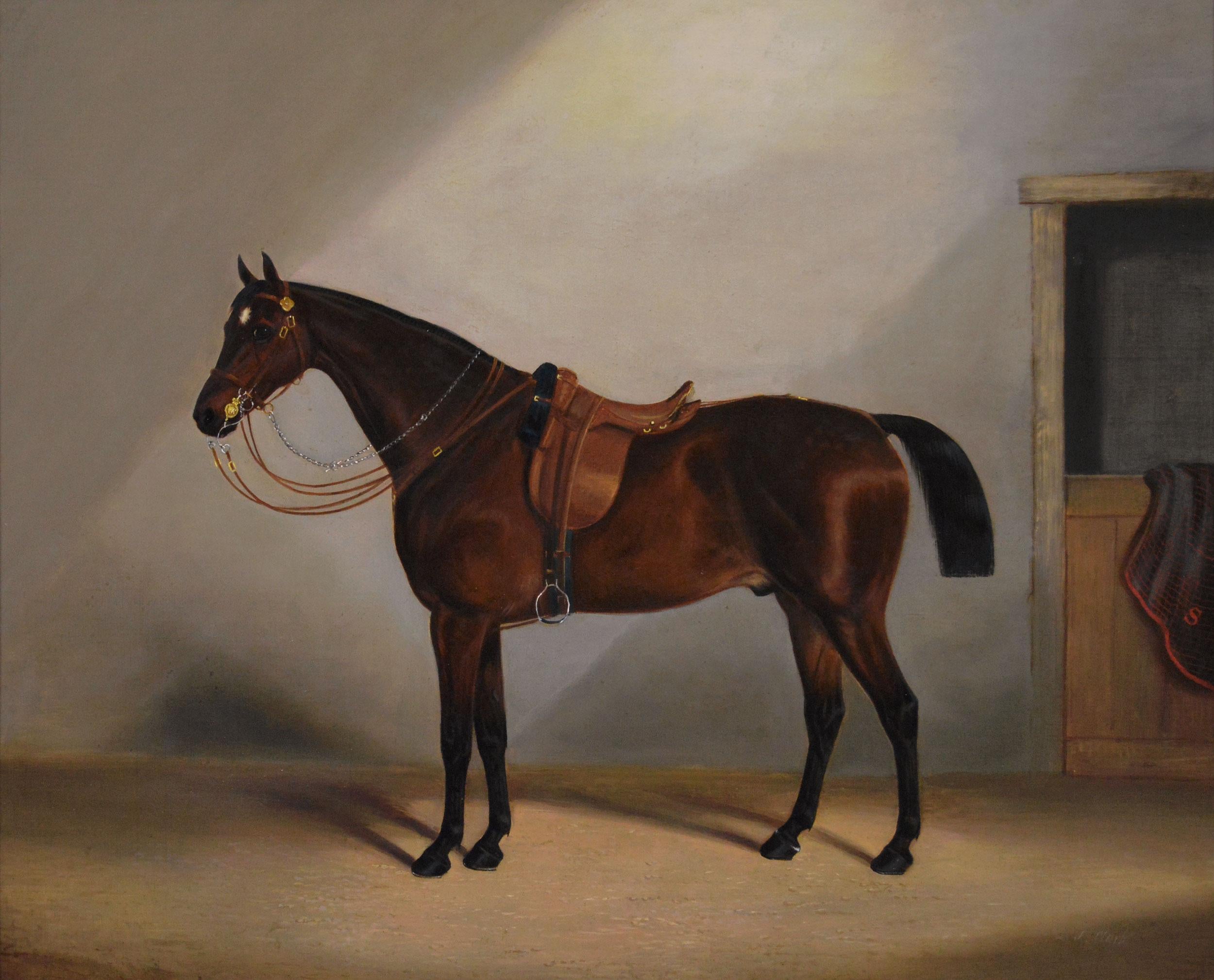 19th Century sporting horse portrait oil painting of a bay horse in a stable - Painting by James Clark