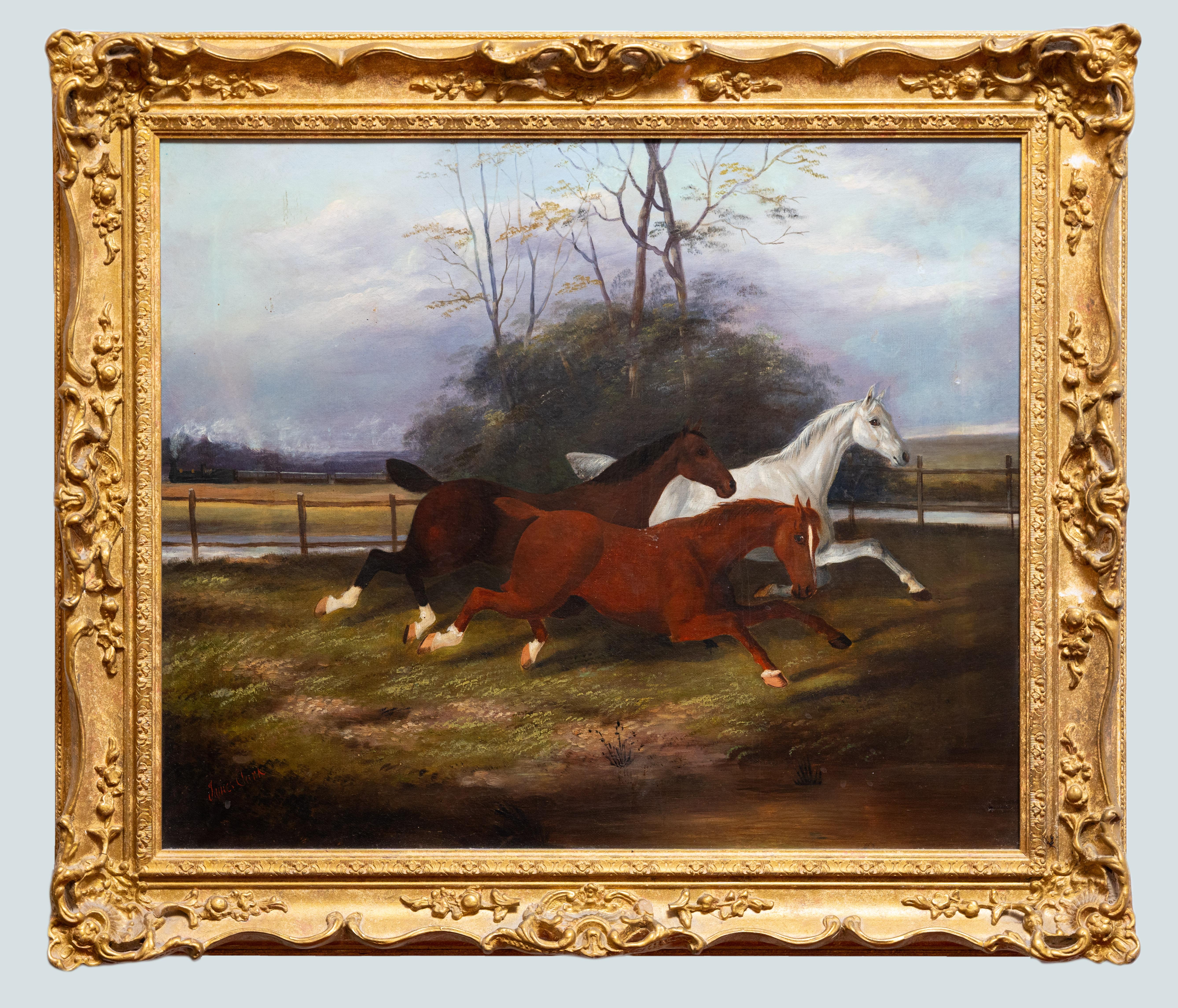 Un bellissimo dipinto che mostra 3 cavalli al galoppo in un paesaggio aperto. Questo olio su tela firmato è opera di James Clark (1858-1943), un pittore inglese di provincia nato a West Hartlepool, nel nord-est dell'Inghilterra. An He salì alla