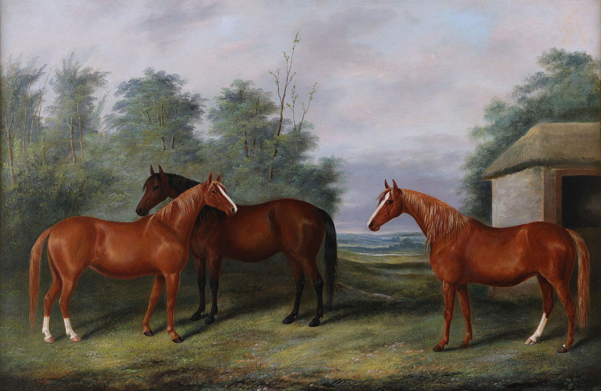 Three Horses Grazing - Victorian Painting by James Clark
