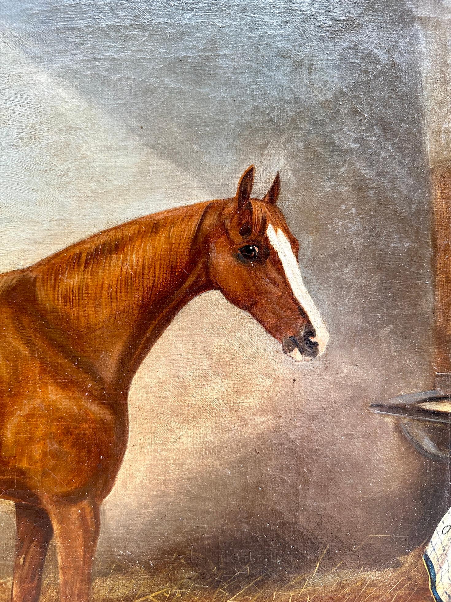 Ritratto inglese antico vittoriano di un cavallo/cacciatore in una stalla 1
